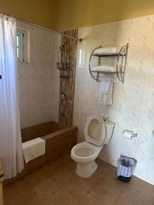 a bathroom with a toilet and a shower and a tub at Brytan Villa in Treasure Beach