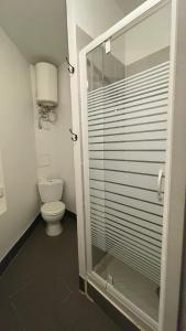 e bagno con servizi igienici e cabina doccia in vetro. di Hôtel Le Saint Quentin a Saint-Quentin