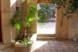 a plant in a pot on the side of a building at Villa TirNaNog in Castelsardo +52 photos