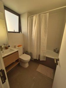 uma casa de banho com um WC, um lavatório e um chuveiro em Habitación con Baño Privado en Depto Compartido em Santiago