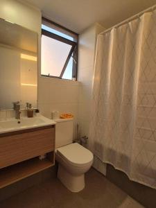 y baño con aseo, lavabo y ducha. en Habitación con Baño Privado en Depto Compartido, en Santiago