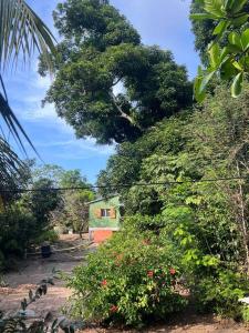 a group of trees and bushes with a house in the background at Inspire Country House BY JR in Providencia