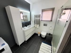 ein Bad mit einem WC, einem Waschbecken und einer Dusche in der Unterkunft Villa en bois à la campagne - 20 min de Rouen in Morgny-la-Pommeraye