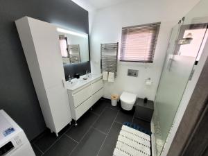 y baño con aseo, lavabo y ducha. en Villa en bois à la campagne - 20 min de Rouen, en Morgny-la-Pommeraye