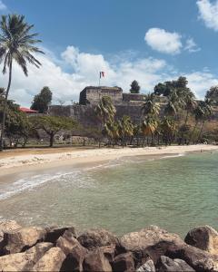einen Strand mit Palmen und eine Burg im Hintergrund in der Unterkunft Kazacérola in Fort-de-France