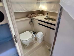 La petite salle de bains est pourvue de toilettes et d'un lavabo. dans l'établissement Superbe bateau à Gruissan, à Gruissan