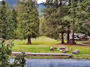 a picnic table in a park with trees and a field at Large Lodge at Rainier Lodge (0.4 miles from entrance) in Ashford