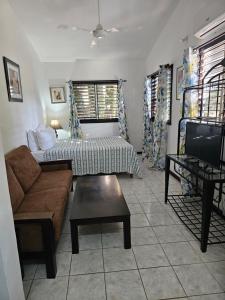 Μια τηλεόραση ή/και κέντρο ψυχαγωγίας στο Roots Cafe Rooms