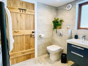 a bathroom with a toilet and a sink at Eco lodge with hot tub overlooking Cairngorms in Aviemore 