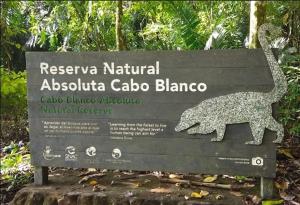 Fotografie z fotogalerie ubytování Luz de Estrella Studios v destinaci Cabuya