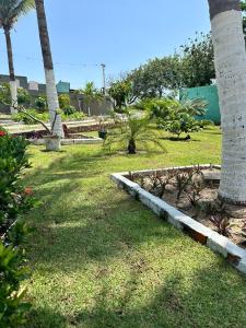 einen Garten mit Palmen, Gras und Pflanzen in der Unterkunft Pousada Recanto das Orquídeas in Barreirinhas