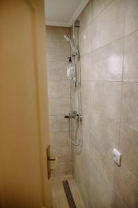 a bathroom with a shower with a glass door at Ranch 170 in Subotica