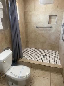 a bathroom with a shower with a toilet at Apple Valley Motel in Apple Valley