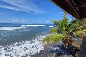 una palmera sentada en una playa junto al océano en Faré Ahonu beach house, en Mahina