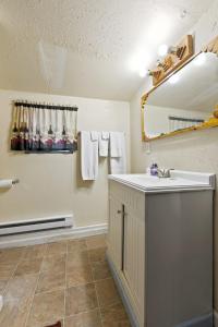 y baño con lavabo y espejo. en Front Lodge at Rainier Lodge (0.4 miles from entrance) en Ashford