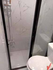 ein Bad mit einer Dusche und einem weißen WC in der Unterkunft Bella in Reykjavík