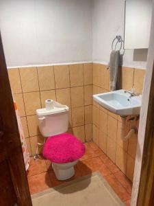 グラナダにあるApartamento Nilxonのバスルーム(ピンクのトイレ、シンク付)