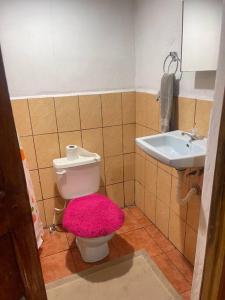 Ένα μπάνιο στο Apartamento Nilxon +5 φωτογραφίες