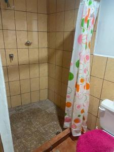 グラナダにあるApartamento Nilxonのバスルーム(シャワー、シャワーカーテン付)が備わります。