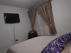 um quarto com uma cama e uma televisão de ecrã plano em DEPARTAMENTO COMODO DUPLEX Zona Norte em Cochabamba