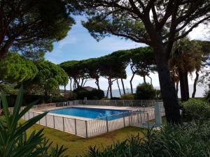 uma piscina num quintal com árvores em Appartement Sainte-Maxime, 4 pièces, 6 personnes - FR-1-780-25 em Sainte-Maxime