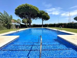a swimming pool with blue water in a yard at 3 bedrooms chalet with shared pool terrace and wifi at Conil de la Frontera 7 km away from the beach in Hozanejos