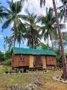 a house with a green roof and palm trees at Elvira's Homestay in Looc