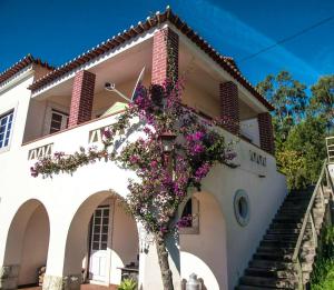 una casa blanca con un árbol con flores púrpuras en One bedroom house with shared pool terrace and wifi at Figueira da Foz 4 km away from the beach en Buarcos