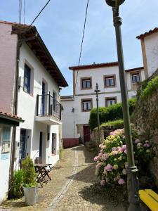 a street with two buildings and a street light and flowers at Pexe na mar in Lastres