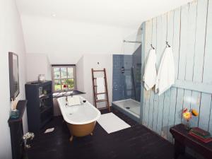 uma casa de banho com banheira e chuveiro em 2 Bed in Betws-y-Coed 42841 em Cerrigydrudion