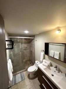 een badkamer met een douche, een toilet en een wastafel bij Lujoso loft con espectacular vista a Santa Fe in Mexico-Stad