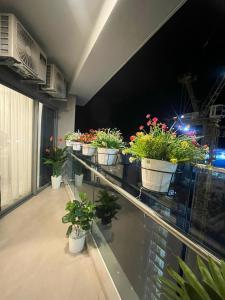 una fila di piante in vaso su un balcone di Premium 2pn The Sóng 5 Sao Homestay Khánh Vân a Vung Tau