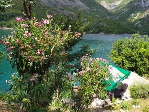a boat on the shore of a lake with flowers at Mostar House in Mostar