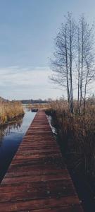 a wooden bridge over a body of water at Domki nad Jeziorem Sunia in Świątki