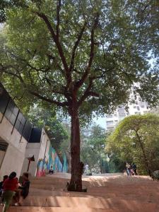 a tree sitting on top of steps next to a tree at 1bhk flat Bandra in Mumbai