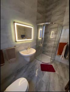 a bathroom with a shower and a toilet and a sink at St Orsola Apartments in Victoria
