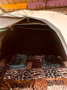 Fotografie z fotogalerie ubytování Spies Munnar Camping v destinaci Chinnakanal