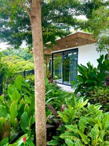 een tuin met een boom en enkele groene planten bij Babylon Mini Resort in Vung Tau