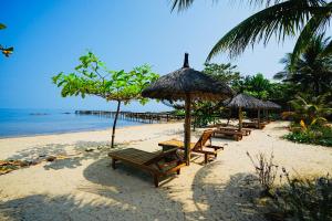 plaża z ławkami i parasolami oraz ocean w obiekcie Kiwuki Beachfront Villa w Duong Dong