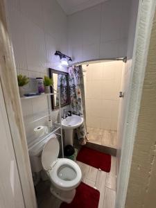 een badkamer met een toilet en een wastafel bij Hollywood in Georgetown