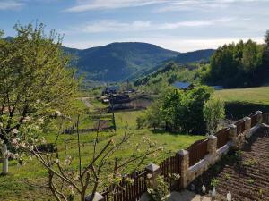 Ein Zaun auf einem Feld mit Bergen im Hintergrund in der Unterkunft Casuta de sub munte in Buzău