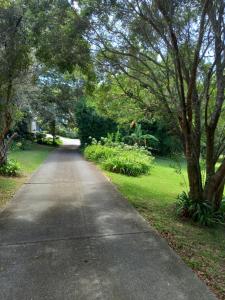 a long road with trees and grass in a park at Quiet Country Retreat in Forster +2 photos