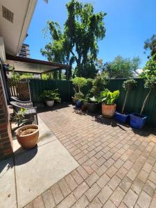 a patio with a bunch of potted plants and a bench at Beautiful and cozy home in Glenunga