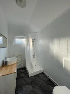 シビウにあるVictoriei Residenceのバスルーム(洗面台、トイレ、シャワー付)