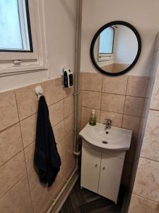 a bathroom with a sink and a mirror at Rybářský bungalov in Olbramkostel