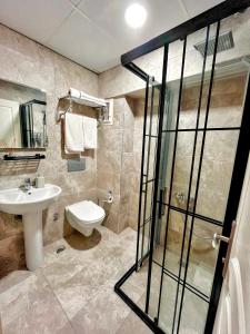 a bathroom with a toilet and a sink and a shower at Naila Hotel in Istanbul