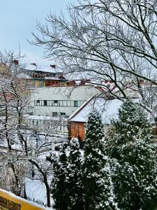 Ein weißes Gebäude mit Bäumen und Schnee darauf. in der Unterkunft Super Apartment Old town in Klaipėda