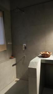 La salle de bains est pourvue d'une douche et d'un panier sur un comptoir. dans l'établissement Pala Dharamshala - Mountain Cottage, à Dharamsala