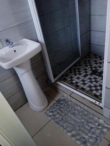 a bathroom with a sink and a shower at Nasrec Guesthouse in Johannesburg