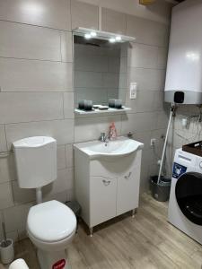 a bathroom with a white toilet and a sink at Wood House Nyíregyháza in Nyíregyháza